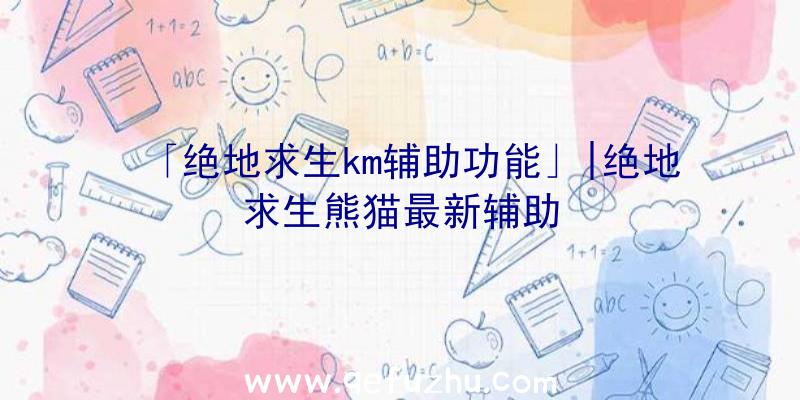 「绝地求生km辅助功能」|绝地求生熊猫最新辅助